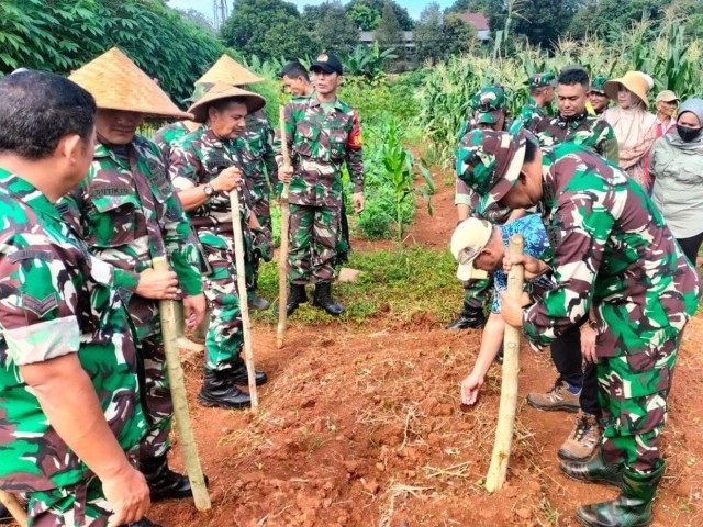 Jaga Ketahanan Pangan, Dandim Bersama Kadis KP3 Tangsel Lakukan Penanaman Jagung Di Kawasan Food Estate Kodim 0506/Tgr