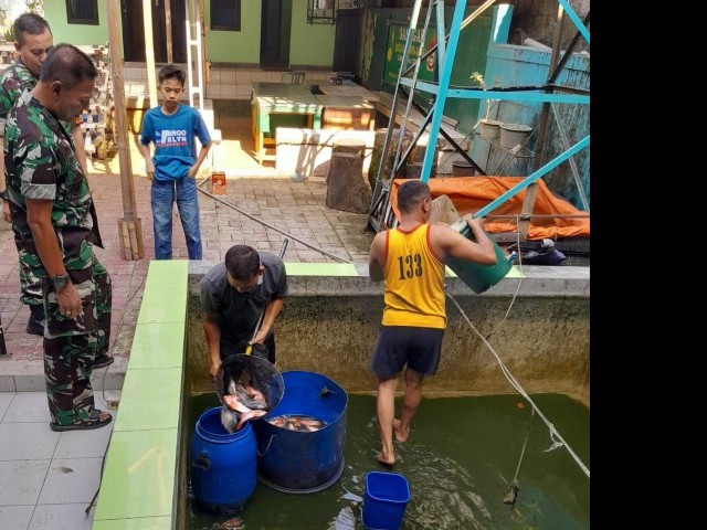 Babinsa Koramil 02/Curug Panen Ikan Nila di Kolam Hanpangan