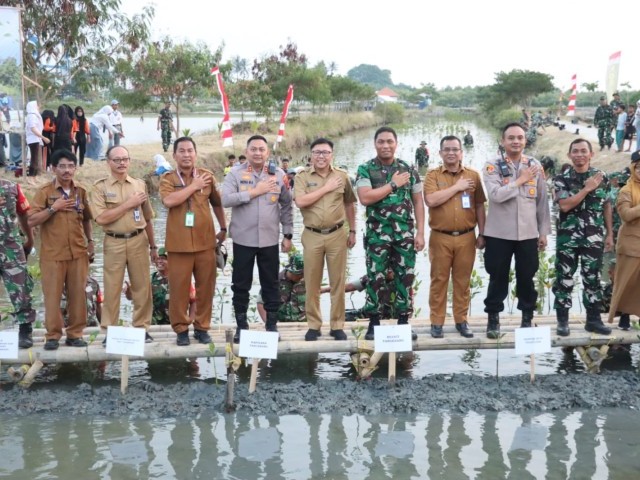 Dandim 0510/Tigaraksa Bersama Forkopimda Tanam 5000 Bibit Mangrove