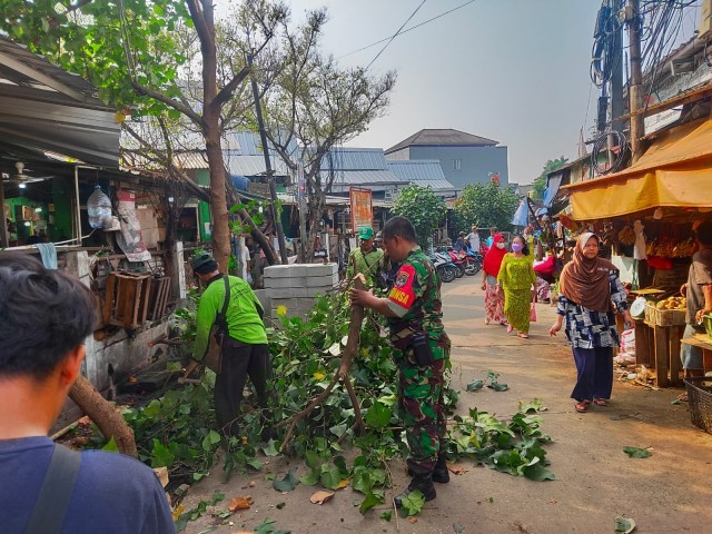 Antisipasi Pohon Tumbang, Babinsa Bersama Warga Rapikan Pohon Sepanjang Jalan