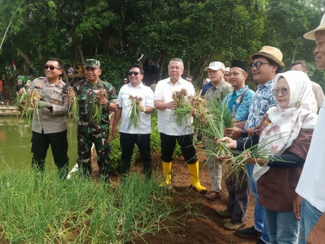 Wujudkan Ketahanan Pangan, Danramil 07/Pdk Aren Bersama Muspika Dampingi Walikota Panen Raya Kelompok Tani ALA TOKEH