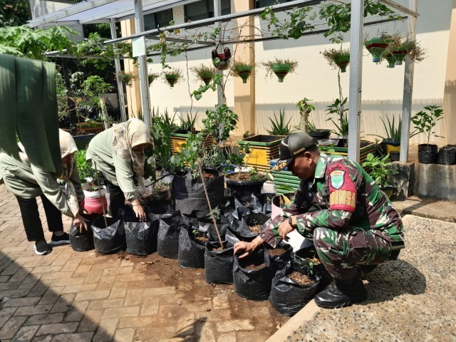 Koramil 02/Matraman Dukung Ketahanan Pangan Wilayah Dengan Giat Urban Farming