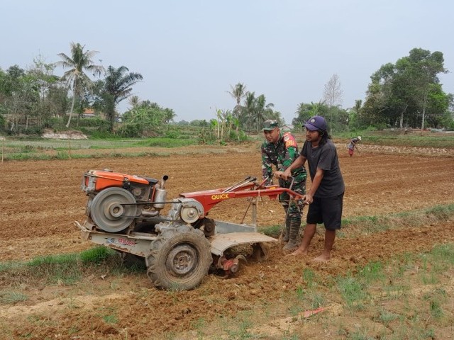 Wujudkan Ketahanan Pangan, Babinsa Koramil 13/Cisoka  Dampingi Kelompok Tani