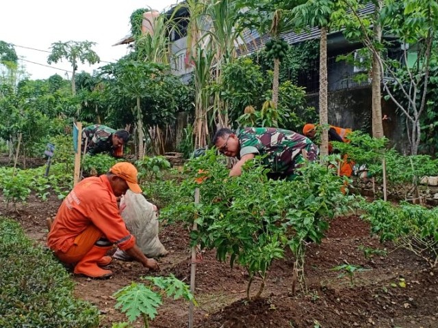 Koramil 04/Pulogadung Dukung Ketahanan Pangan Wilayah Dengan Giat Urban Farming