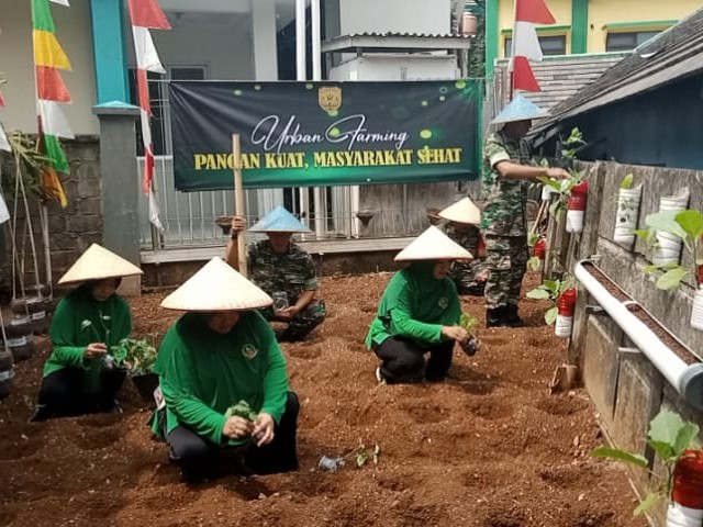 Program Urban Farming 
