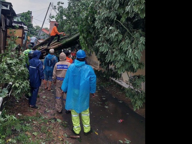 Babinsa Serda Junaidi Bersama Warga Singkirkan Pohon Tumbang Akibat Angin Dan Hujan Deras