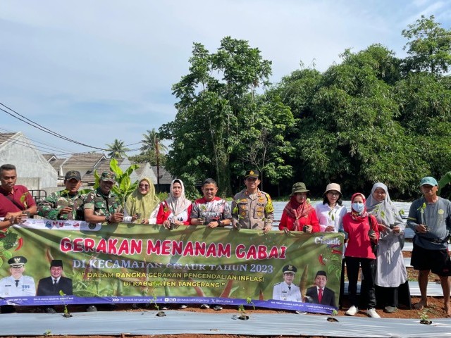 Gerakan Menanam Cabai, Pelda Valentino : Tingkatkan Pengendalian Inflasi Di Kecamatan Cisauk