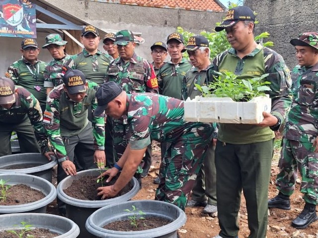 Manfaatkan Lahan Sempit, Babinsa Tanam Cabai dan Terong Gunakan Pot