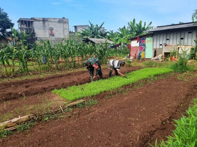 Masa Sibuk Pengamanan Pemilu 2024 Tidak Menjadi Halangan, Babinsa Jatiraden Tetap Lakukan Pendampingan Urban Farming