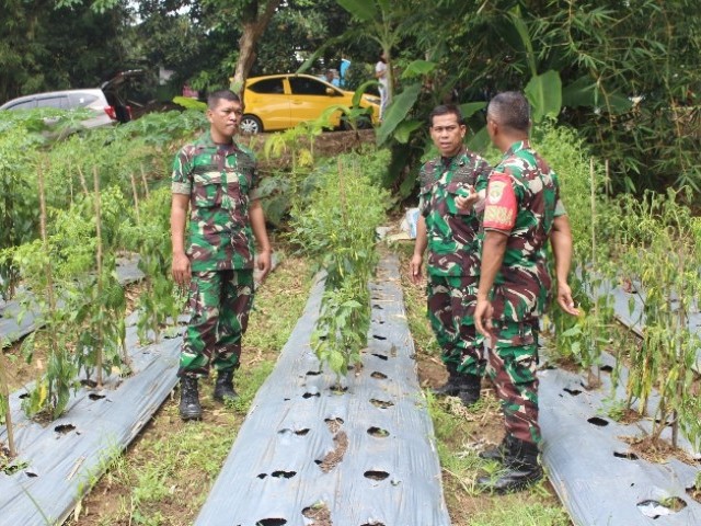 Kasdim 0510/Tigaraksa Dampingi Tim Penilai Lomba Urban Farming Tingkat Kodim Di Jajaran Kodam Jaya