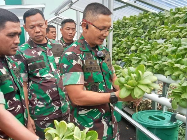 Dandim 0506/Tgr Panen Sayuran Pakcoy Hasil Media Tanam Hidroponik