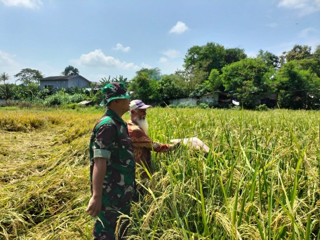 Babinsa Desa Cisoka Pantau Kondisi Pompa Air Sawah, Demi Kepentingan Petani Desa Karang Harja 