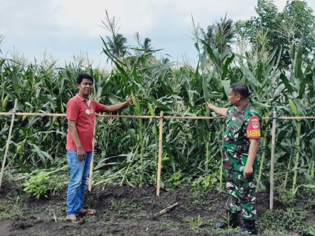 Lebaran Bukan Halangan Bagi Anggota Koramil 09/Mauk Untuk Mengecek Pompanisasi di Wilayah Binaan