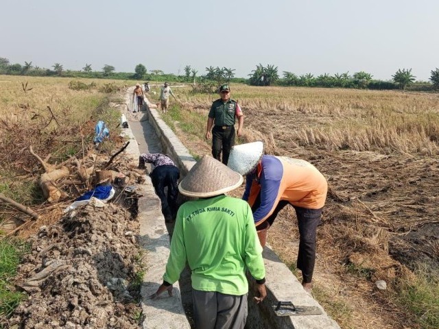 Antisipasi Kekeringan Puluhan Hektar Sawah, Babinsa Dampingi Perbaikan Saluran Air