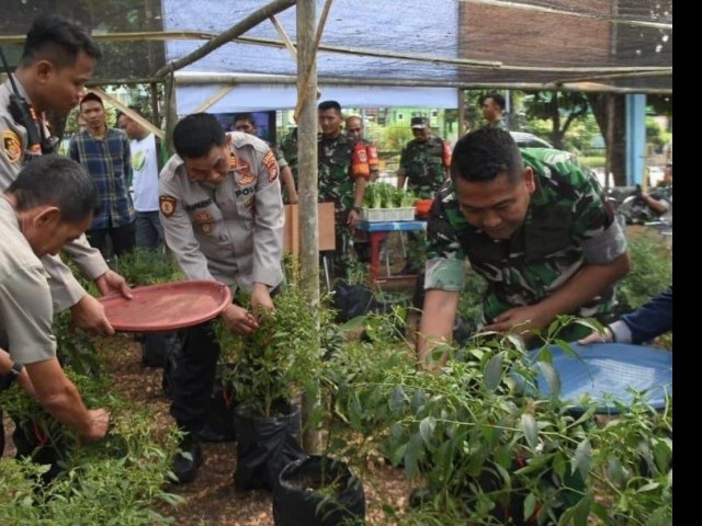 Kodim 0501/JP Mengikuti Panen Raya Urban Farming Serentak Se-Jajaran Kodam Jaya