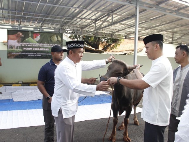 Kepedulian Terhadap Sesama, Kodim 0507/Bekasi Selenggarakan Pemotongan Hewan Qurban Idul Adha 1445 H
