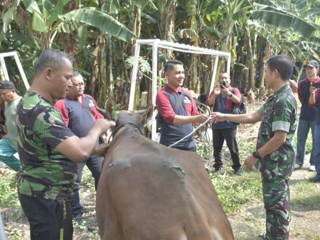 Tebarkan Kebaikan Pada Hari Raya Idul Adha 1445 H, Dandim 0501/JP Serahkan Secara Simbolis Hewan Qurban