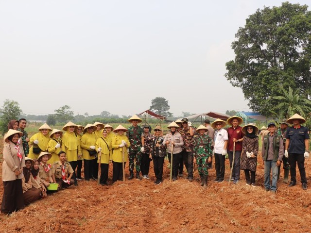 Dandim 0509/Kab. Bekasi Kunjungi Panen dan Penanaman Jagung Urban Farming di Setu