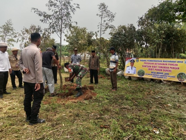 Bersama Tiga Pilar, Babinsa Koramil 14/Panongan Gelar Penanaman Pohon