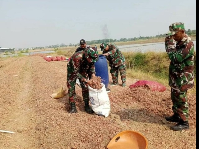 Babinsa Kodim Jajaran Korem 051/Wkt Aktif Berperan Dalam Mendukung Ketahanan Pangan