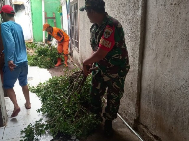 Pohon Timpa Rumah Warga, Babinsa Koramil Pasar Minggu Bantu Evakuasi