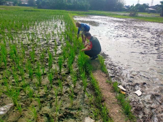 Babinsa Koramil 03/Teluk Pucung Lakukan Pendampingan Kelompok Tani di Wilayah Binaan