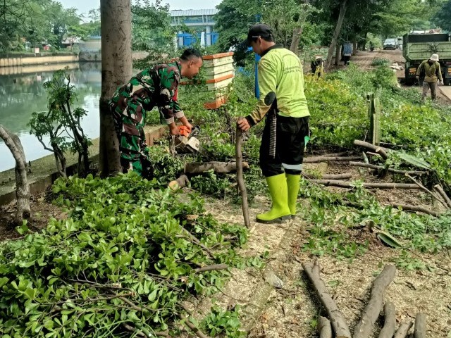 Meningkatkan Keselamatan, Babinsa Koramil 04/CK Memangkas dan Memotong Pohon Tumbang