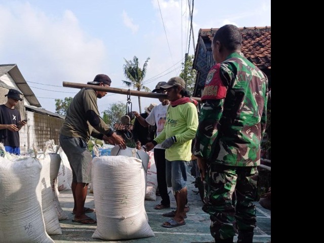 Babinsa Koramil 05/Cibitung Dukung Penyerapan Gabah Petani oleh Bulog di Desa Sarimukti