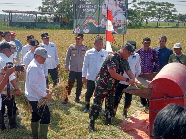 Dandim 0510/Tigaraksa Hadiri Panen Raya Bersama 