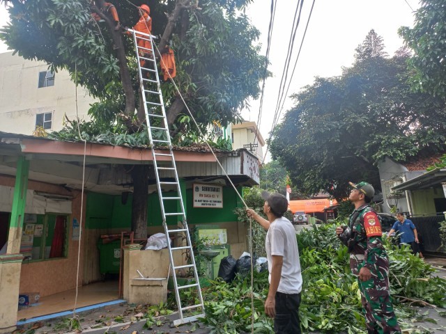 Cegah Korsleting Listrik, Babinsa Koramil 05/Tanah Abang Bersama Anggota PPSU Laksanakan Penopingan Pohon