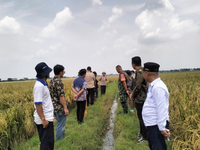 ‎Sinergi TNI dan Kementerian Pertanian: Babinsa Koramil 10/Sukatani Dampingi Kunjungan Lapangan di Desa Sukajadi