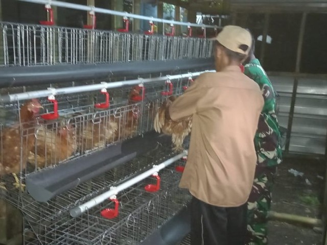 Korem 052/Wijayakrama Bantu Ternak Ayam Petelur di Panti Asuhan Yayasan Amanah Assodiqiyah