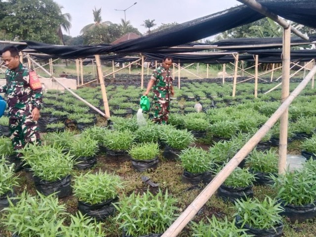 Kodim 0501/JP Sukses Budidayakan Sayur Mayur di Lahan Urban Farming