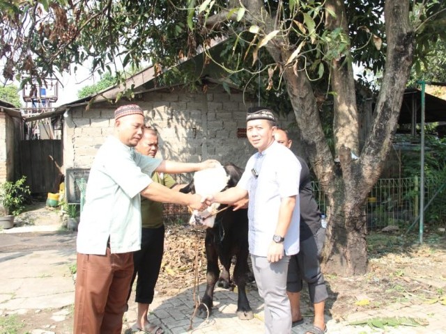 Dandim 0506/Tgr Serahkan Hewan Qurban  Untuk Penyembelihan 