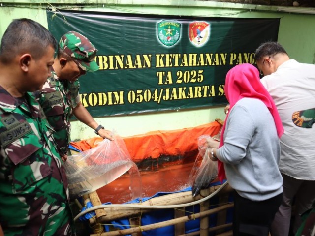 Kodim 0504/Jakarta Selatan Budidayakan Ikan Lele Dengan Kolam Terpal