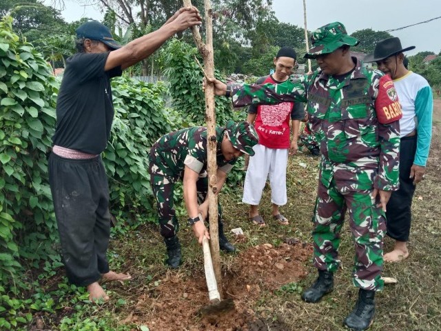 Penghijauan Di Wilayah Binaan, Babinsa Koramil 02/Btc Tanam Pohon Produktif