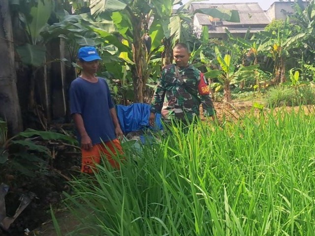 Babinsa Cimuning Tak Hanya Jaga Wilayah, Tapi Juga Dorong Ketahanan Pangan