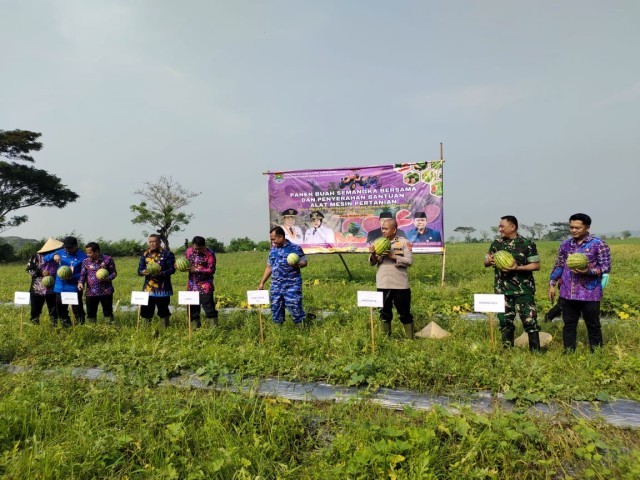 TNI dan Pemkab Tangerang Panen Semangka dan Salurkan Alsintan di Mauk