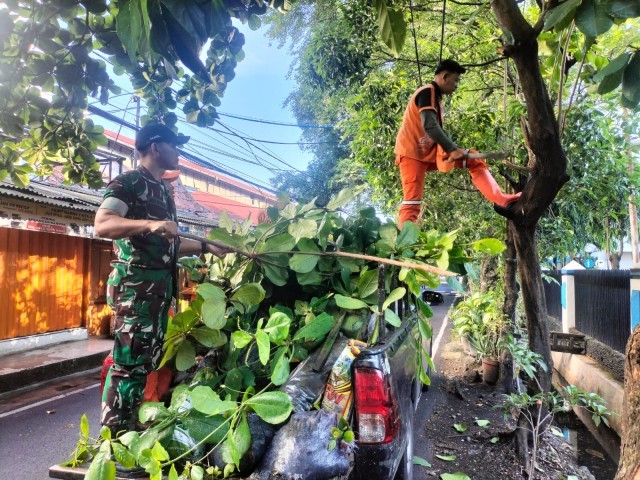 Antisipasi Genangan Air serta Pohon Tumbang Babinsa Koramil 02/SB Laksanakan Kerja Bakti Anggota PPSU