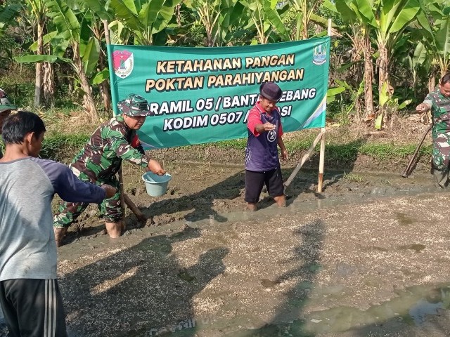 Danramil 05/Bantargebang Bersama Poktan Parahiyangan Perkuat Ketahanan Pangan Lewat Pengolahan Lahan dan Pembibitan Padi