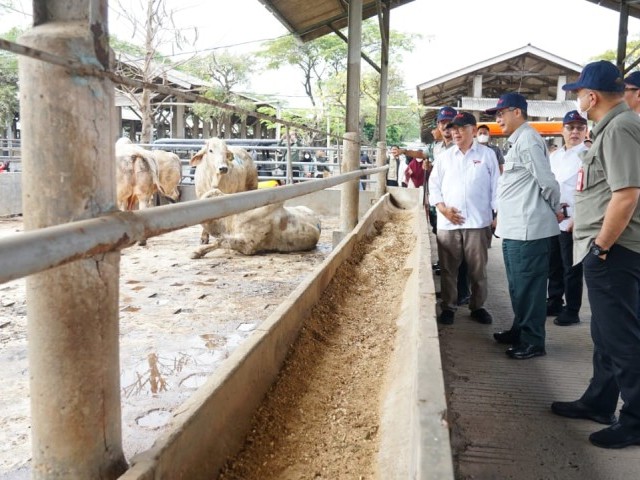 Pangdam Jaya sambut Wamentan RI  dalam kunjungan kerja di PT. Tanjung Unggul Mandiri (TUM) Provinsi Banten