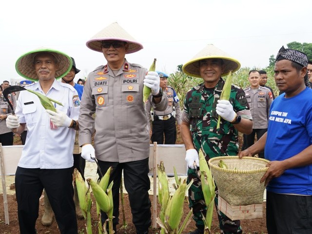 Kasdam Jaya Hadiri Panen Raya Jagung untuk Mendukung Ketahanan Pangan Nasional